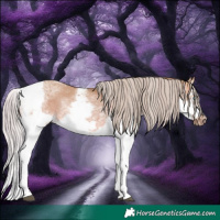 Horse Color:Silver Brown Dun Splash Tobiano Frame Rabicano 