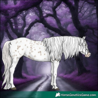 Horse Color:White Spotted Silver Grullo Appaloosa Rabicano 