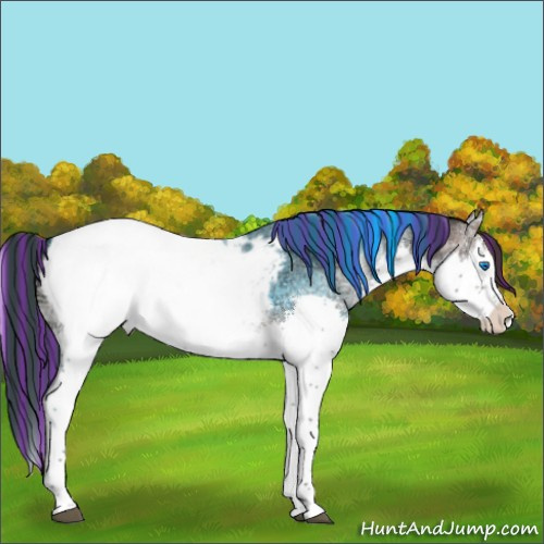 Horse Color:Painted Liver Red Onyx Ice Roan Splash Near Fewspot 