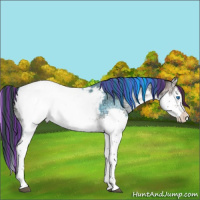 Horse Color:Painted Liver Red Onyx Ice Roan Splash Near Fewspot 