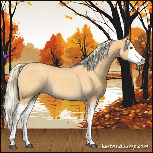Horse Color:Palomino Roan Splash