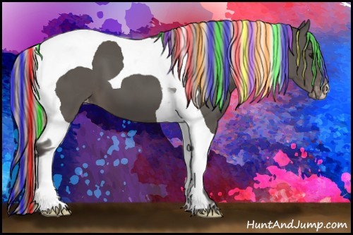 Horse Color:Painted Silver Black Tobiano Appaloosa