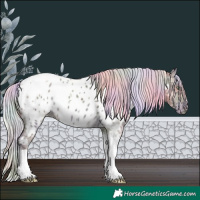 Horse Color:Nacre White Spotted Silver Sable Champagne Ice Dun Tobiano Appaloosa 