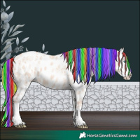 Horse Color:Painted White Spotted Gold Champagne Ice Dun Splash Appaloosa 