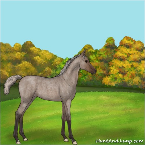 Horse Color:Silver Brown Roan Dun 