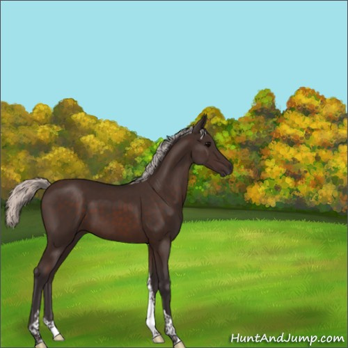 Horse Color:Silver Brown Tobiano 