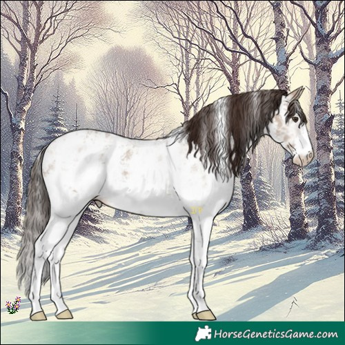 Horse Color:Liver Red Dun Ice Sabino 