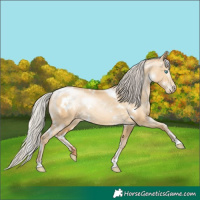 Horse Color:Gray White Spotted Silver Amber Cream Champagne Pearl Dun Sabino Rabicano 