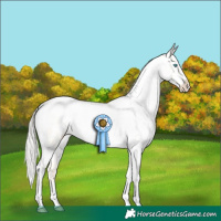 Horse Color:Silver Amber Cream Champagne Roan Pearl Dun Tobiano Appaloosa 