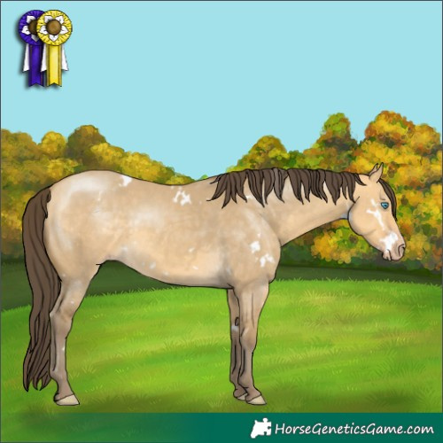 Horse Color:White Spotted Sable Cream Champagne Dun 