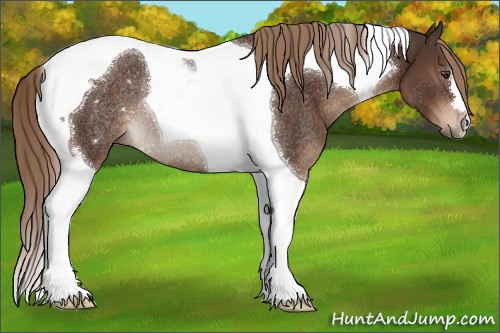 Horse Color:Liver Chestnut Tobiano Rabicano 