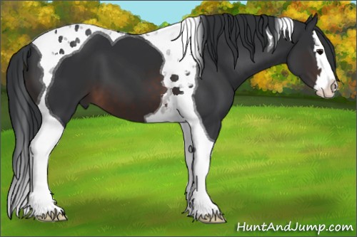 Horse Color:Brown Splash Tobiano 