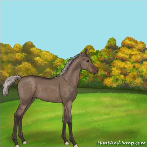 Horse Color:Silver Brown Roan Dun 