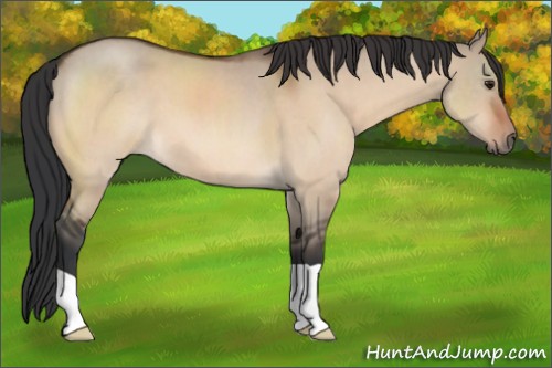Horse Color:Brown Roan Dun 