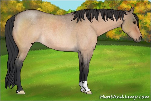 Horse Color:Brown Roan Dun Rabicano 
