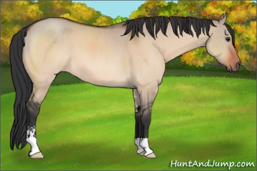 Horse Color:Brown Roan Dun Sabino 
