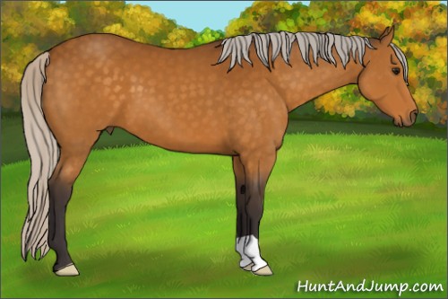 Horse Color:Silver Buckskin 