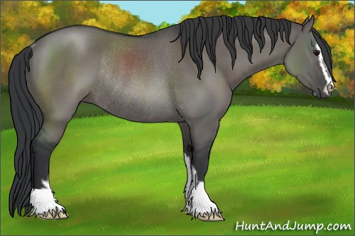 Horse Color:Grullo Sabino Rabicano 