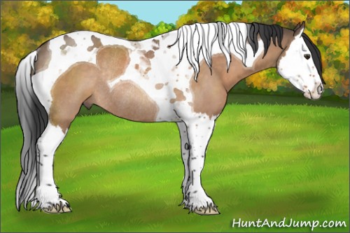 Horse Color:Brown Dun Splash Tobiano Rabicano 