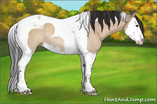 Horse Color:Brown Dun Splash Tobiano Rabicano 