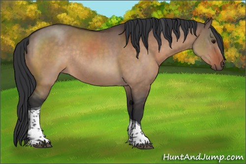 Horse Color:Bay Dun Tobiano Rabicano 