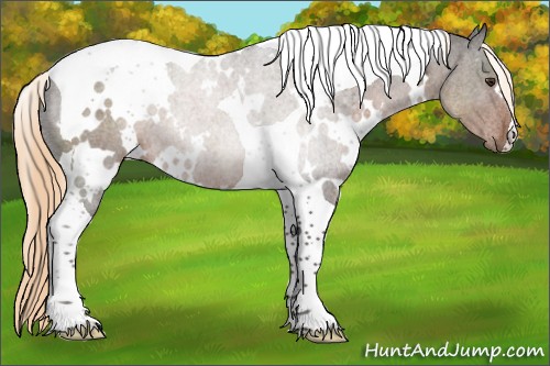 Horse Color:White Spotted Liver Chestnut Tobiano 