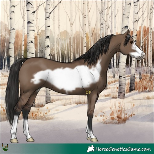 Horse Color:Liver Red Dun Frame 