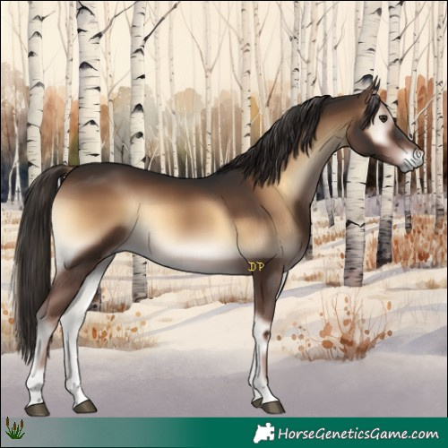 Horse Color:Liver Red Onyx 