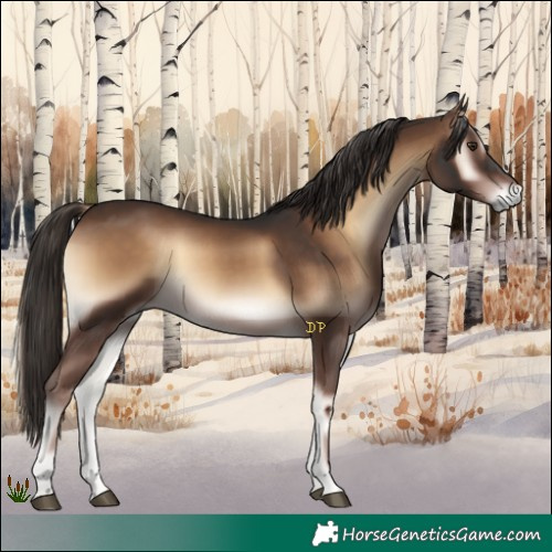 Horse Color:Liver Red Onyx
