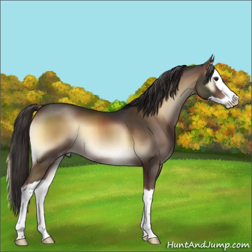 Horse Color:Liver Red Onyx Splash 