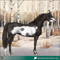 Horse Color:Liver Chestnut Frame 