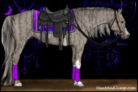 Horse Color:Grullo  and Silver Grullo 