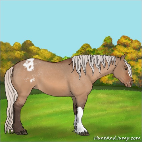 Horse Color:Silver Brown Dun Varnish