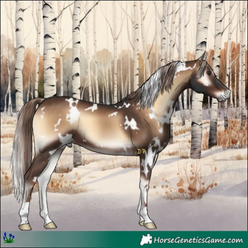 Horse Color:White Spotted Liver Red Onyx 