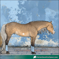 Horse Color:Silver Buckskin Dun Frame 