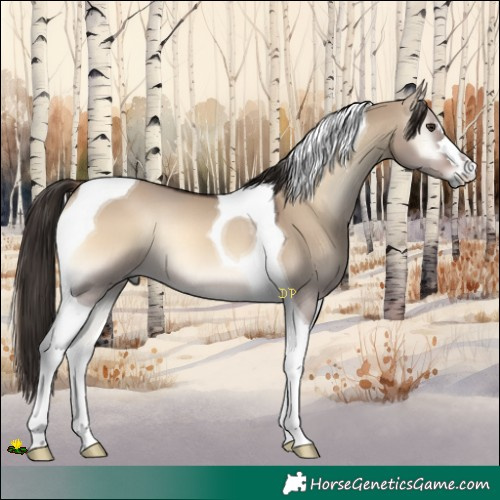 Horse Color:Liver Red Dun Onyx Tobiano 