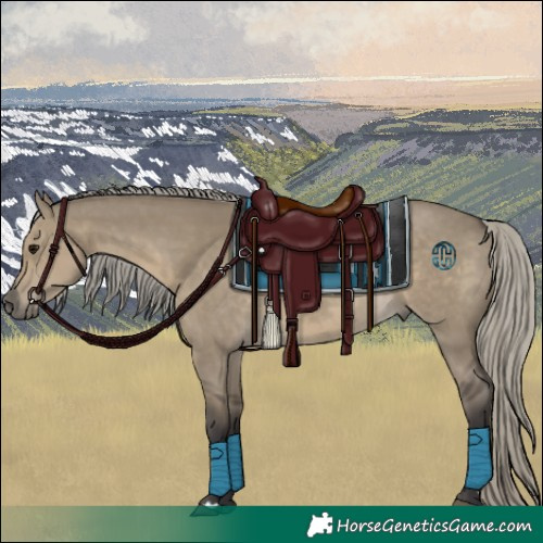 Horse Color:Silver Smoky Grullo Mushroom 