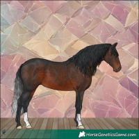 Horse Color:Brown 