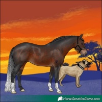 Horse Color:Brown 