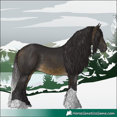 Horse Color:Buckskin Tobiano