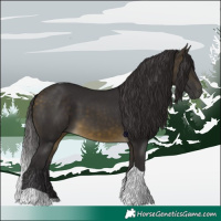 Horse Color:Buckskin Tobiano 