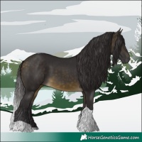 Horse Color:Buckskin Tobiano 
