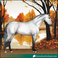 Horse Color:Gray White Spotted Brown Roan Rabicano 