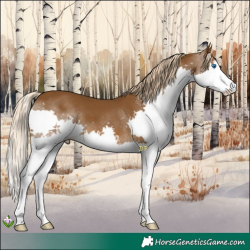 Horse Color:Chocolate Palomino Splash 