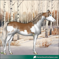 Horse Color:Chocolate Palomino Splash 