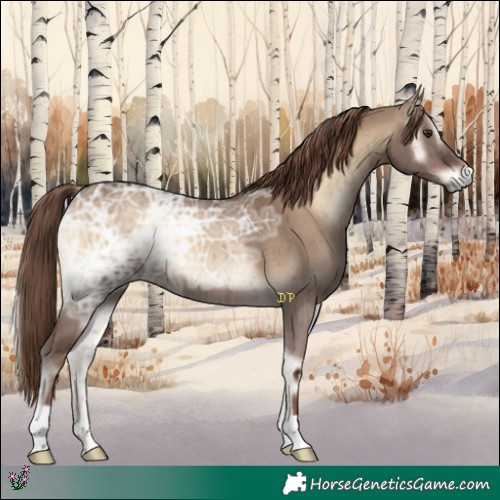 Horse Color:Liver Red Dun Ice Onyx Brindle