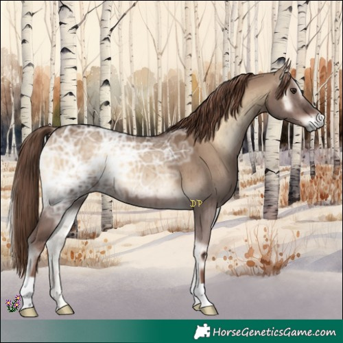 Horse Color:Liver Red Dun Ice Onyx Brindle 