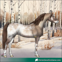 Horse Color:Liver Red Dun Ice Onyx Brindle 