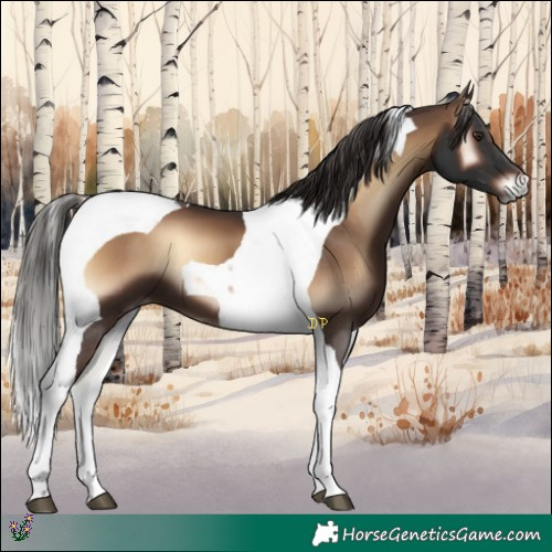 Horse Color:Liver Red Onyx Tobiano 