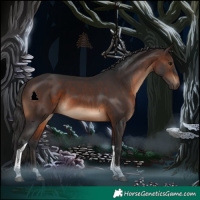 Horse Color:Brown Tobiano Rabicano